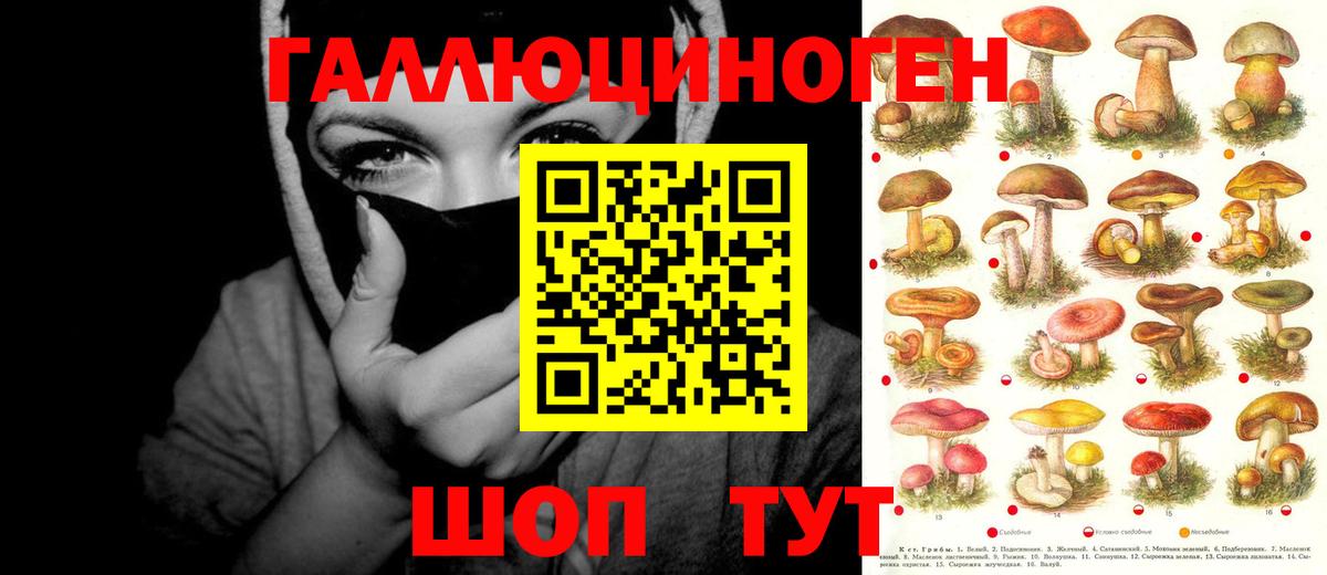 Шебекино  Псилоцибиновые грибы мухоморы  Вход с VPN  Псилоцибиновые грибы Cubensis 