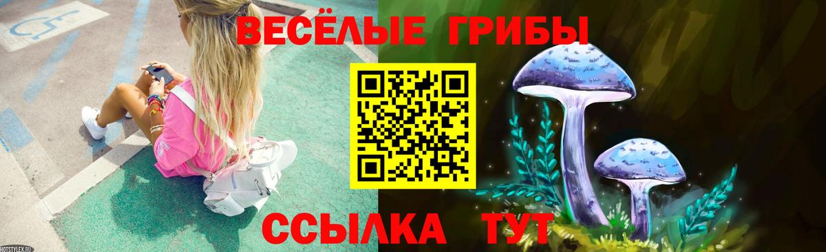 Галлюциногенные грибы прущие грибы Шебекино